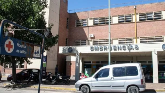 Ataque de un dogo a un niño: qué responsabilidades fija la tenencia responsable. Imagen destacada sobre ataque de un dogo a un niño. publicada en DF Urgente
