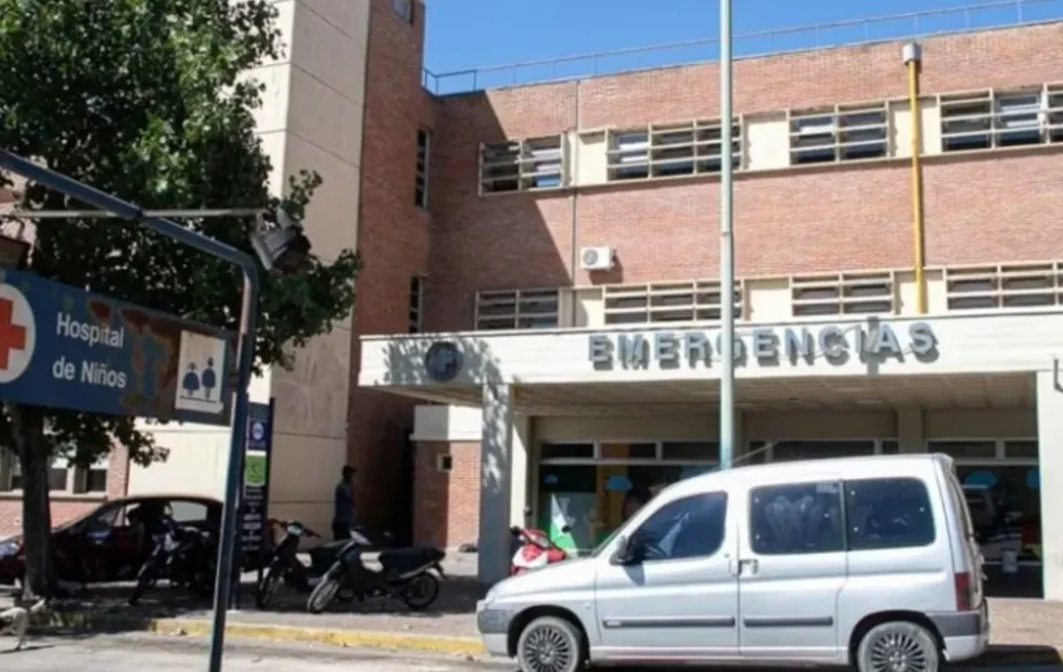 Ataque de un dogo a un niño: qué responsabilidades fija la tenencia responsable. Imagen destacada sobre ataque de un dogo a un niño. publicada en DF Urgente