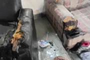 Violencia de género en La Plata: denunció lesiones y un intento de incendio. Imagen destacada sobre violencia de género en La Plata. publicada en DF Urgente